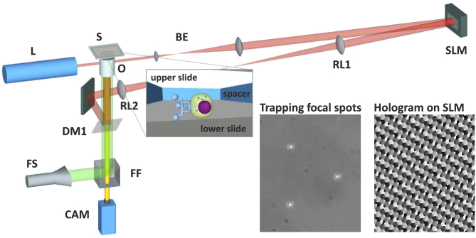 Fig. 2.