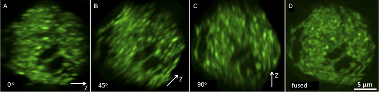 Fig. 8.