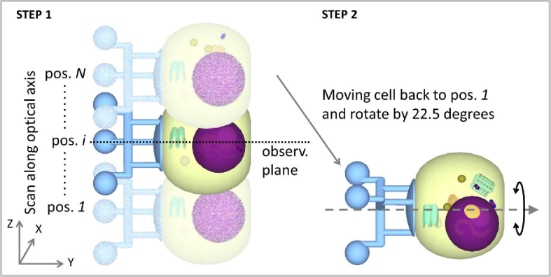 Fig. 3.