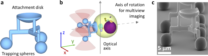 Fig. 1.