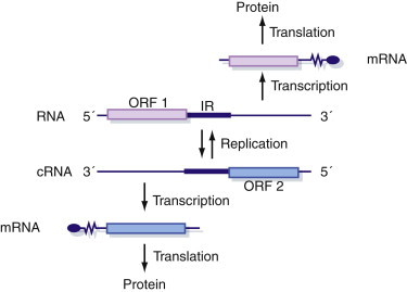 Figure 5.11
