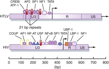 Figure 5.14