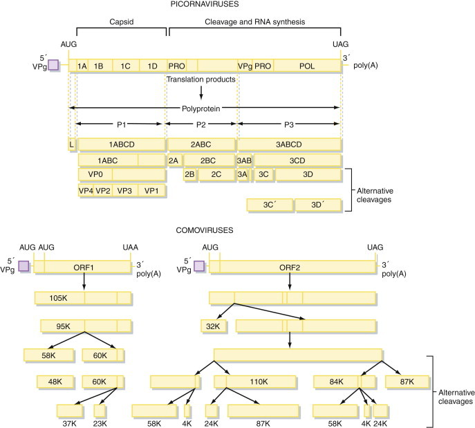 Figure 5.7