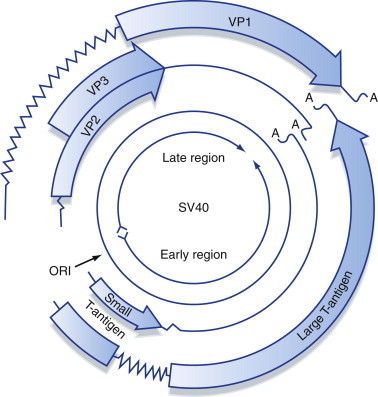 Figure 5.12
