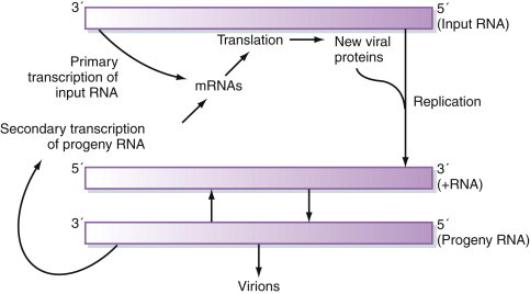Figure 5.9