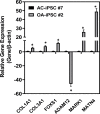 Figure 4—figure supplement 1.
