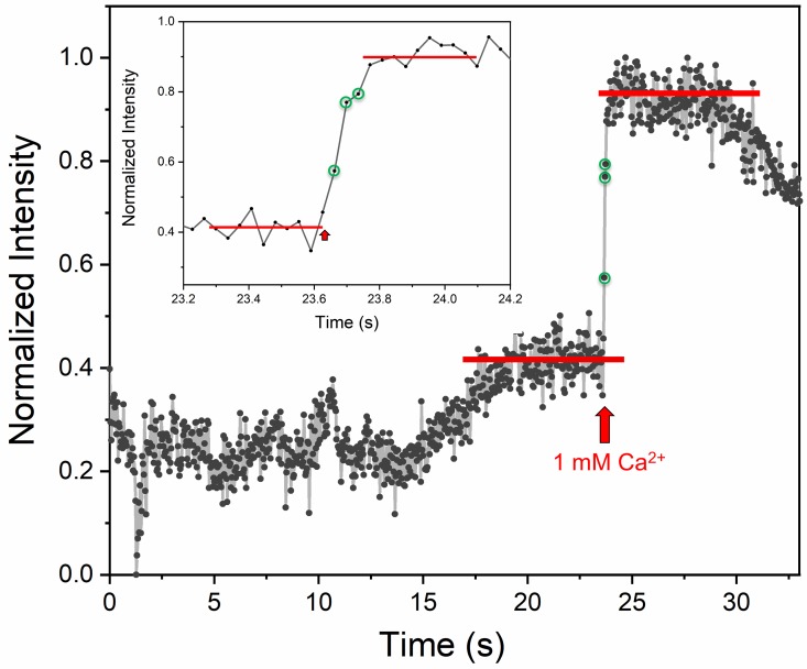 Figure 2—figure supplement 1.