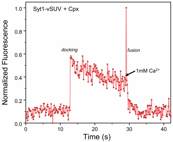 Figure 2—figure supplement 2.