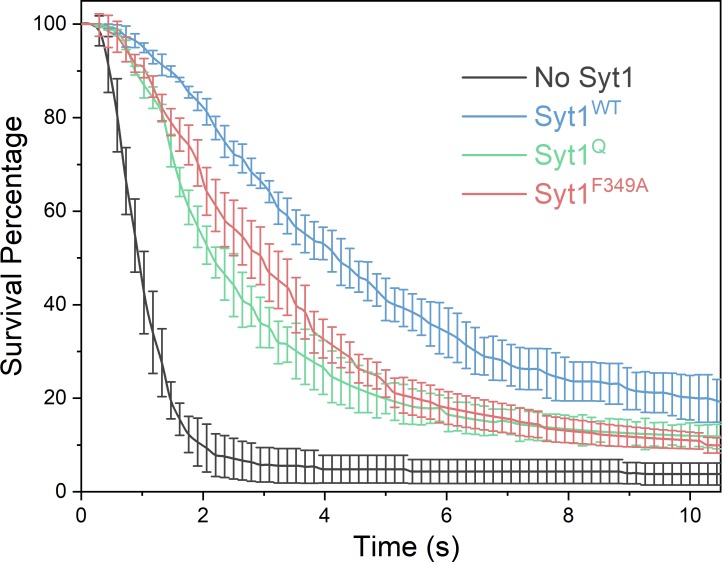 Figure 5—figure supplement 1.