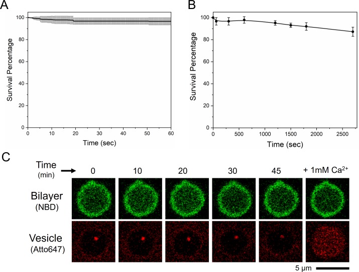 Figure 1—figure supplement 3.