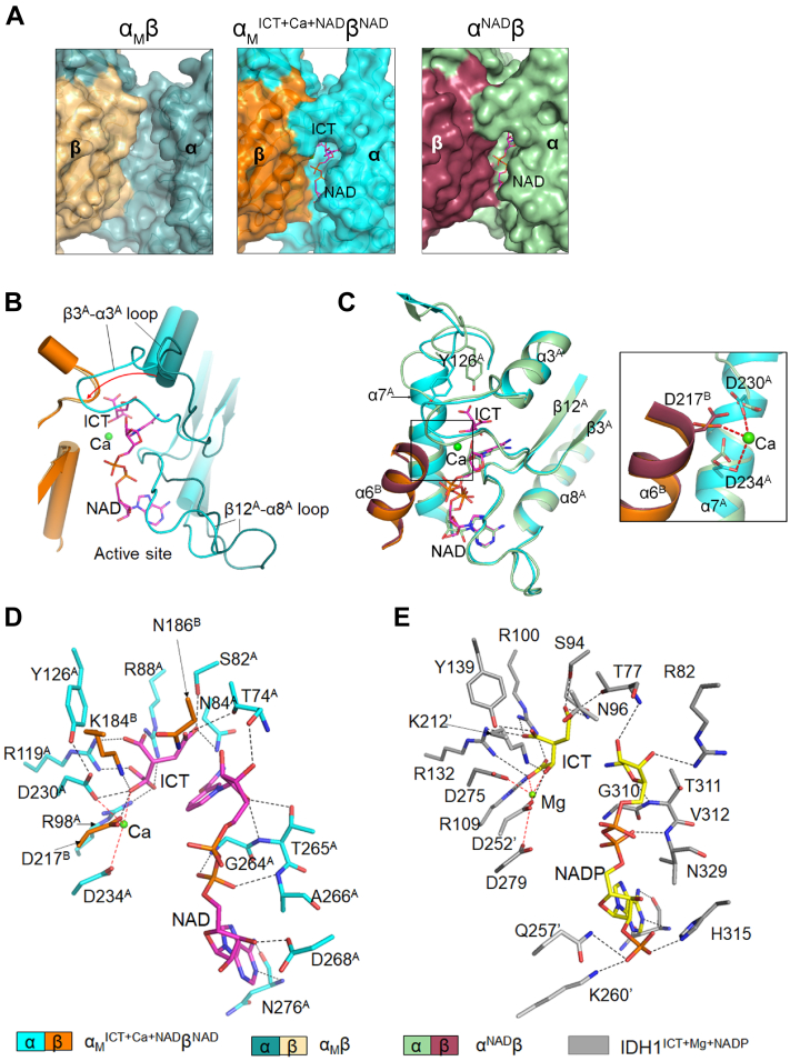 Figure 6