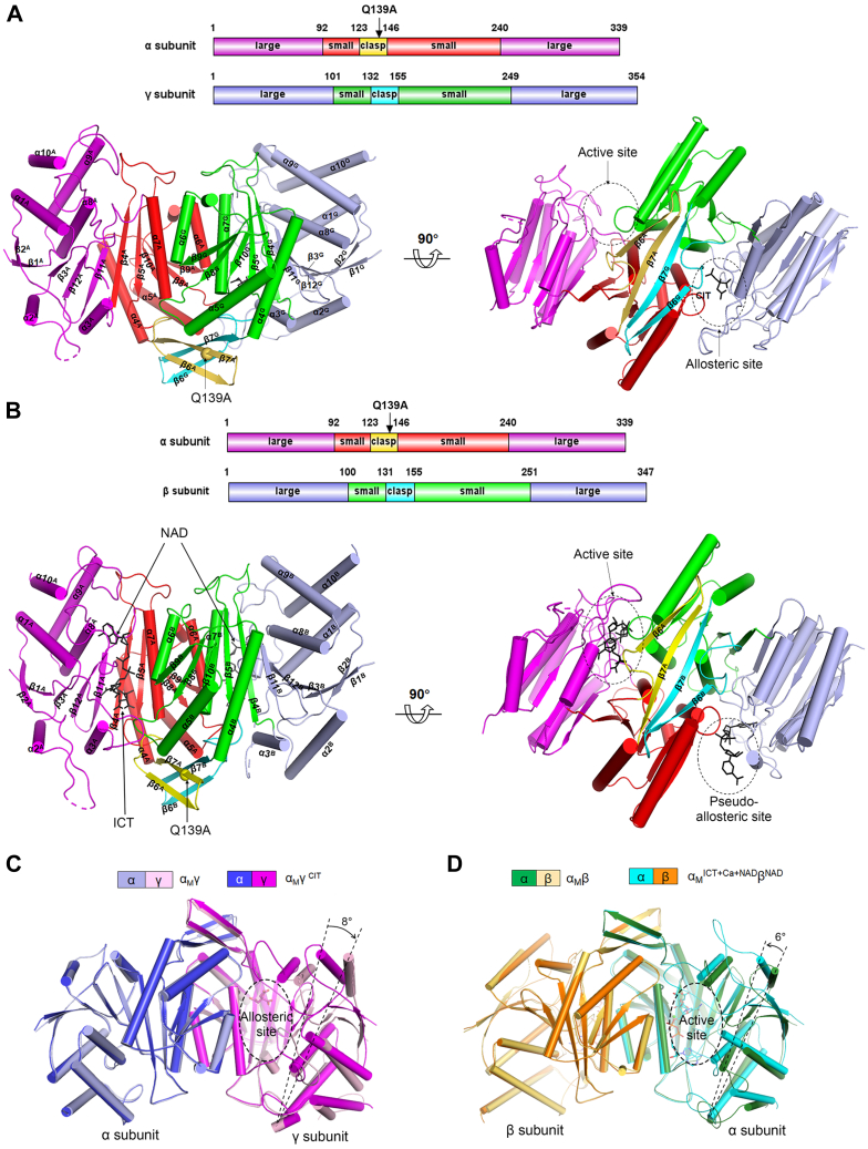 Figure 2