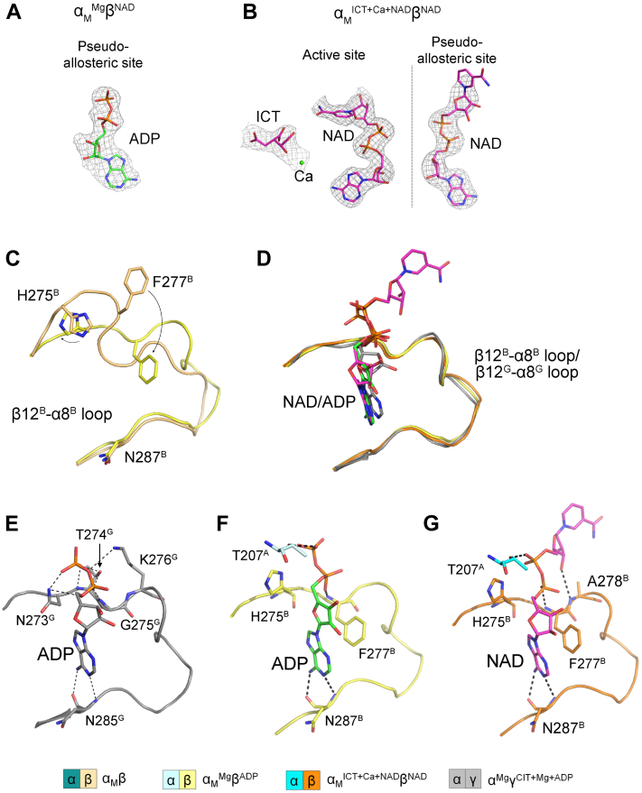 Figure 5