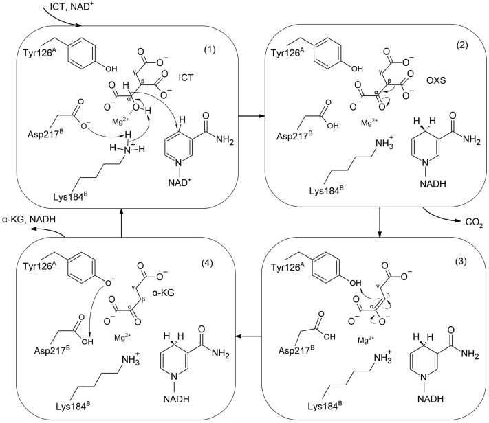 Figure 7