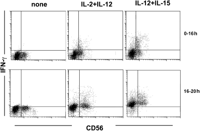 Fig. 3.