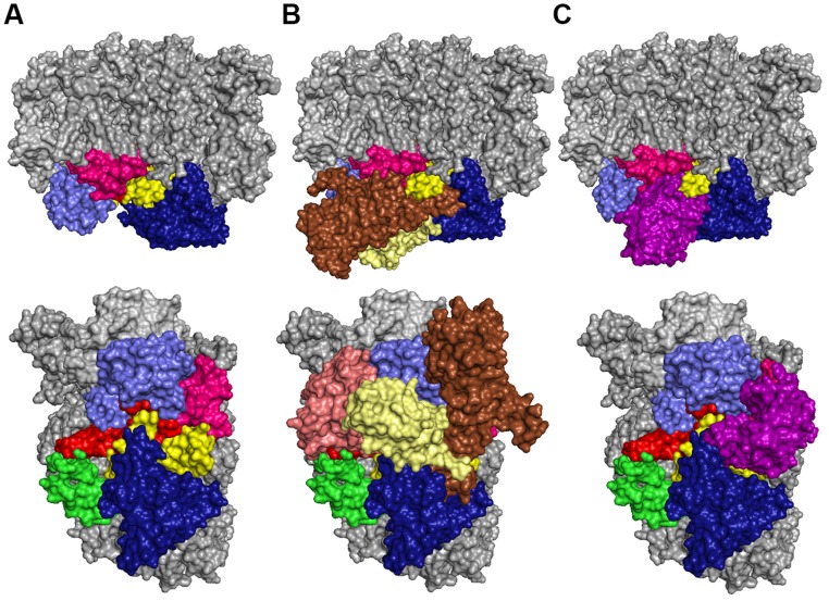 FIGURE 6