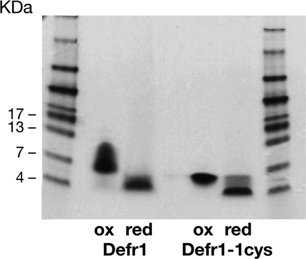 FIG. 3.