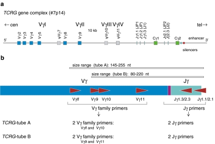 Fig. 2