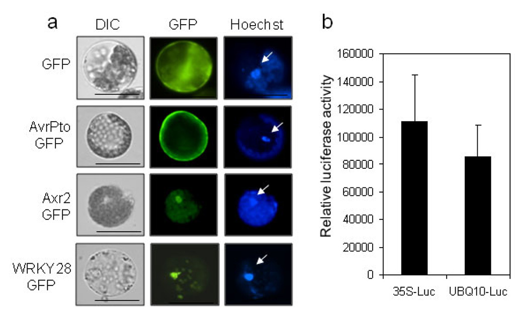 Figure 5