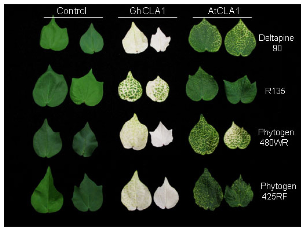 Figure 2