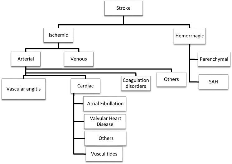 Figure 1