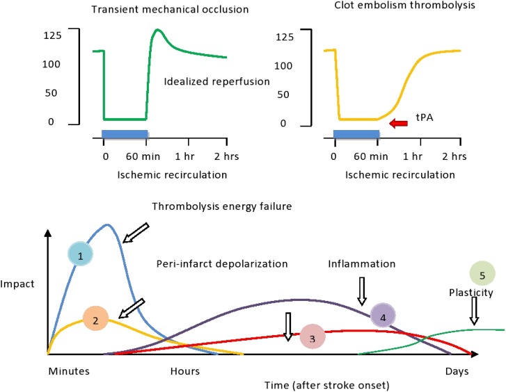 Figure 4