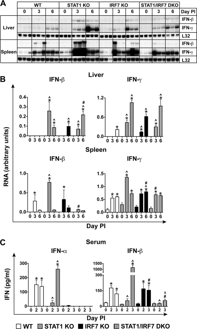 FIG 4