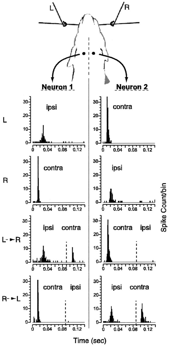 Fig. 4.