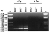 FIG. 5