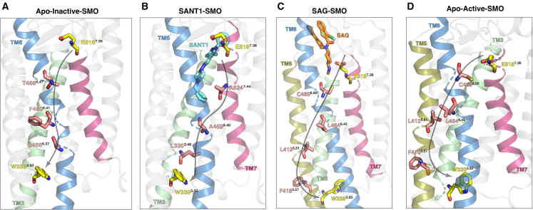 Figure 6