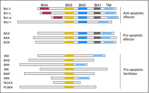 Fig 2.