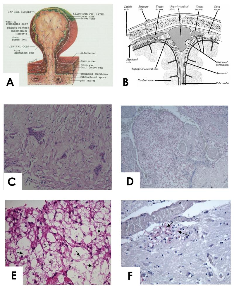 Figure1