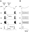 Fig. 8.