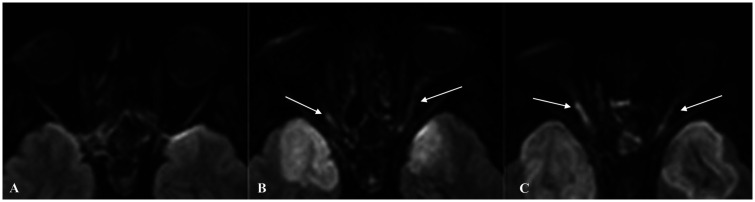 Fig. 5.