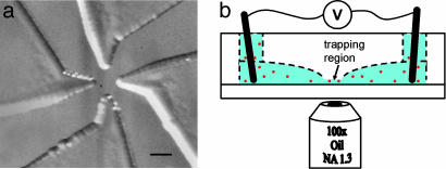 Fig. 1.