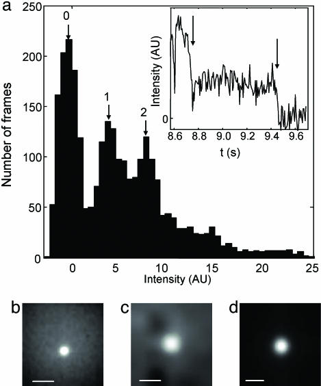 Fig. 3.