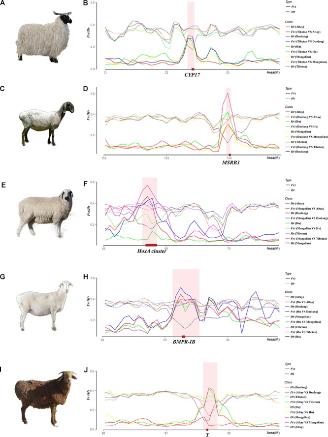 FIGURE 4