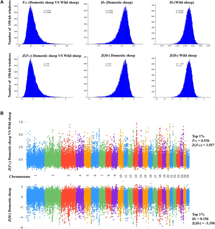 FIGURE 2