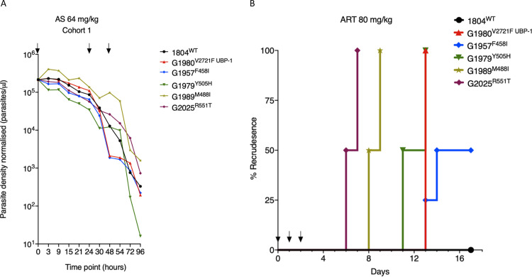 FIG 3