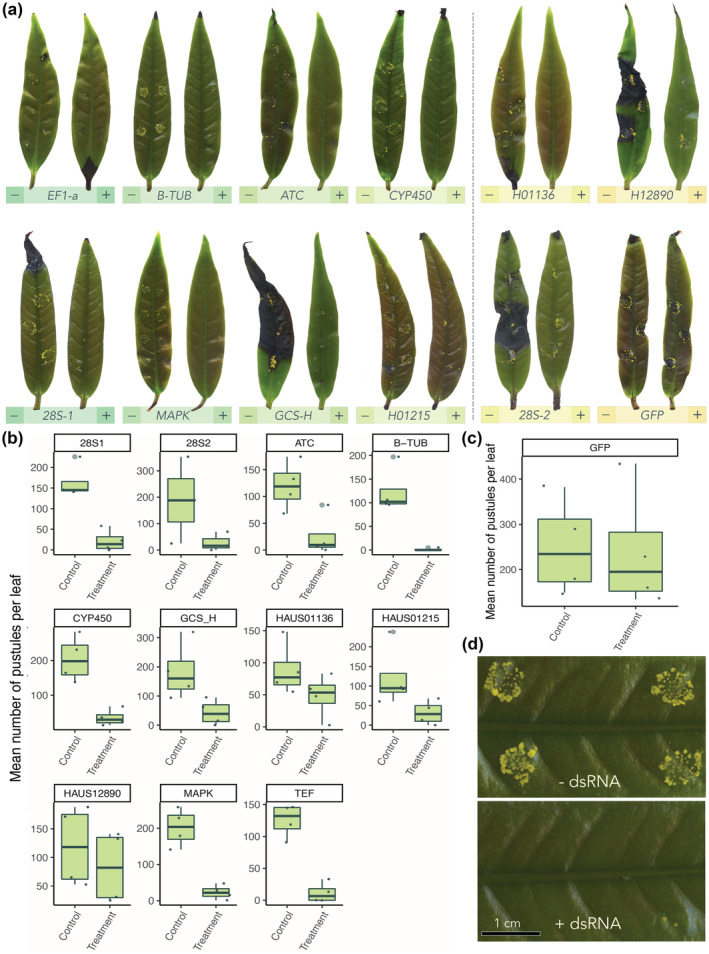 FIGURE 2