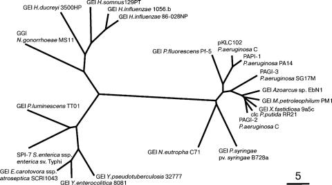 FIG. 9.