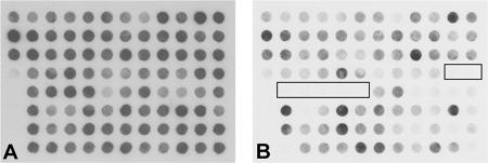 FIG. 8.