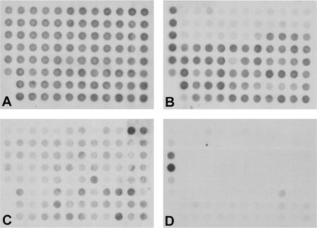 FIG. 7.