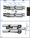FIGURE 5.