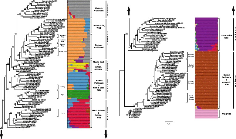 Fig. 1