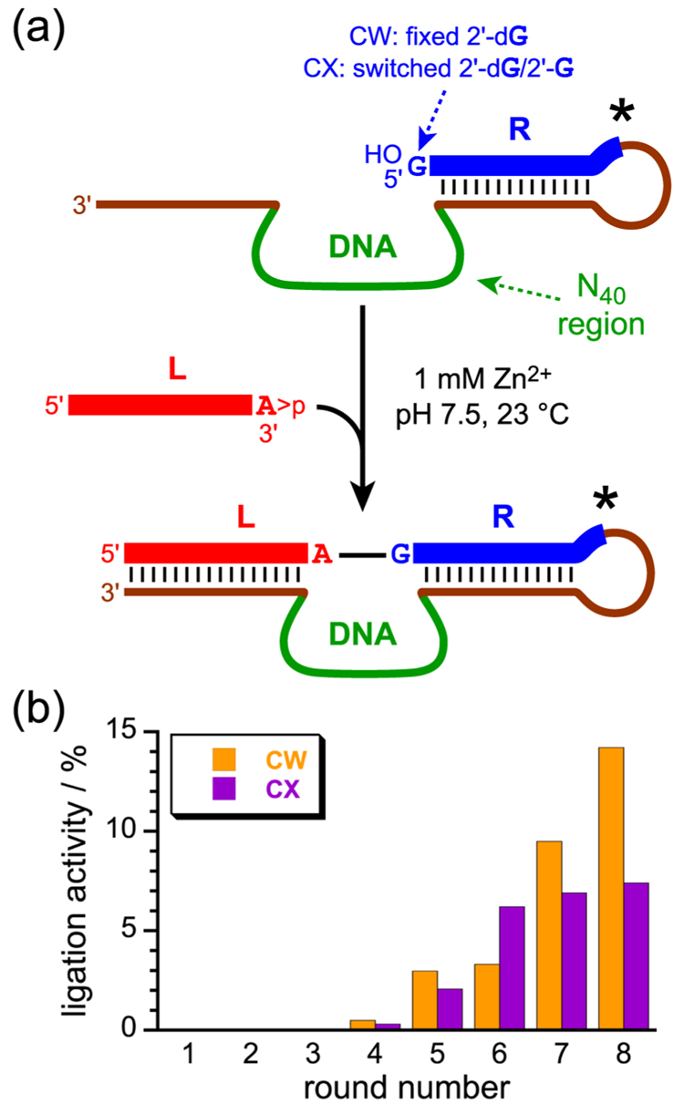 Fig. 2