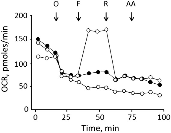 Fig. 3