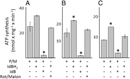 Fig. 7