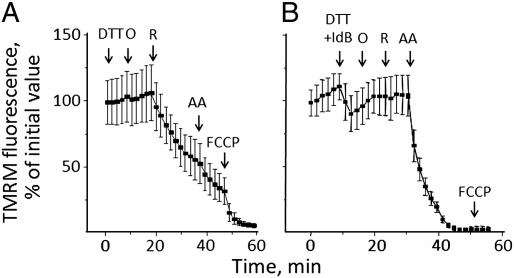 Fig. 4