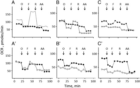 Fig. 6